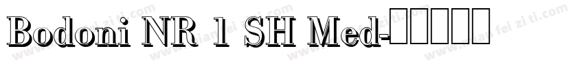 Bodoni NR 1 SH Med字体转换